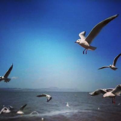 银河3d竞技场手游下载